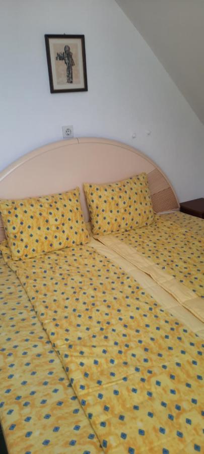 Privatni Smestaj Nanica Mataruska Banja Kültér fotó